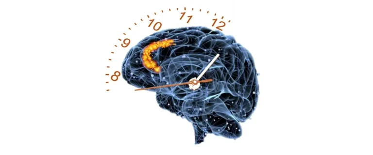 Учені з’ясували, як мозок відстежує час